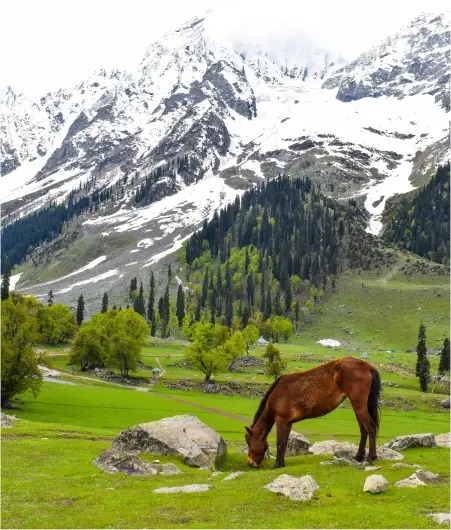 Sonmarg