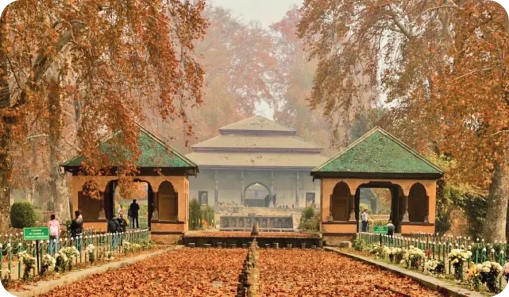 Autumn Season Shalimar Garden Srinagar