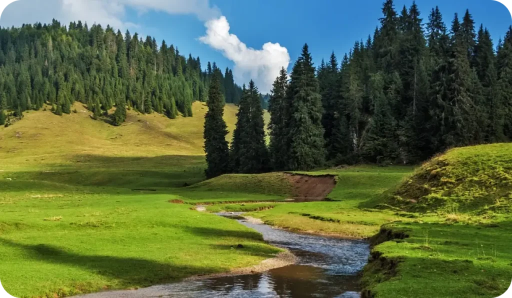 Bangus Valley