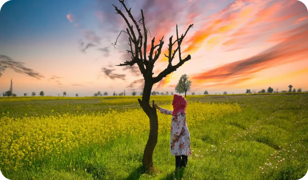 Kashmiri child in field