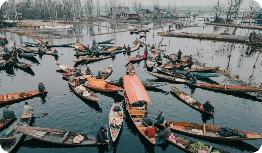 Dal lake market shikara
