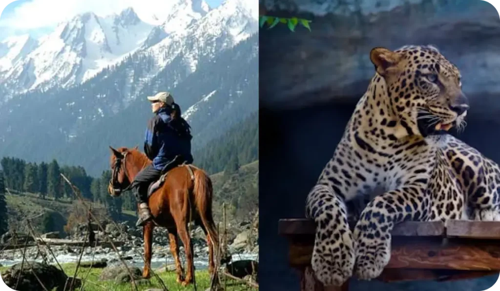 Pahalgam Zoo & Chandanwari Horse Riding